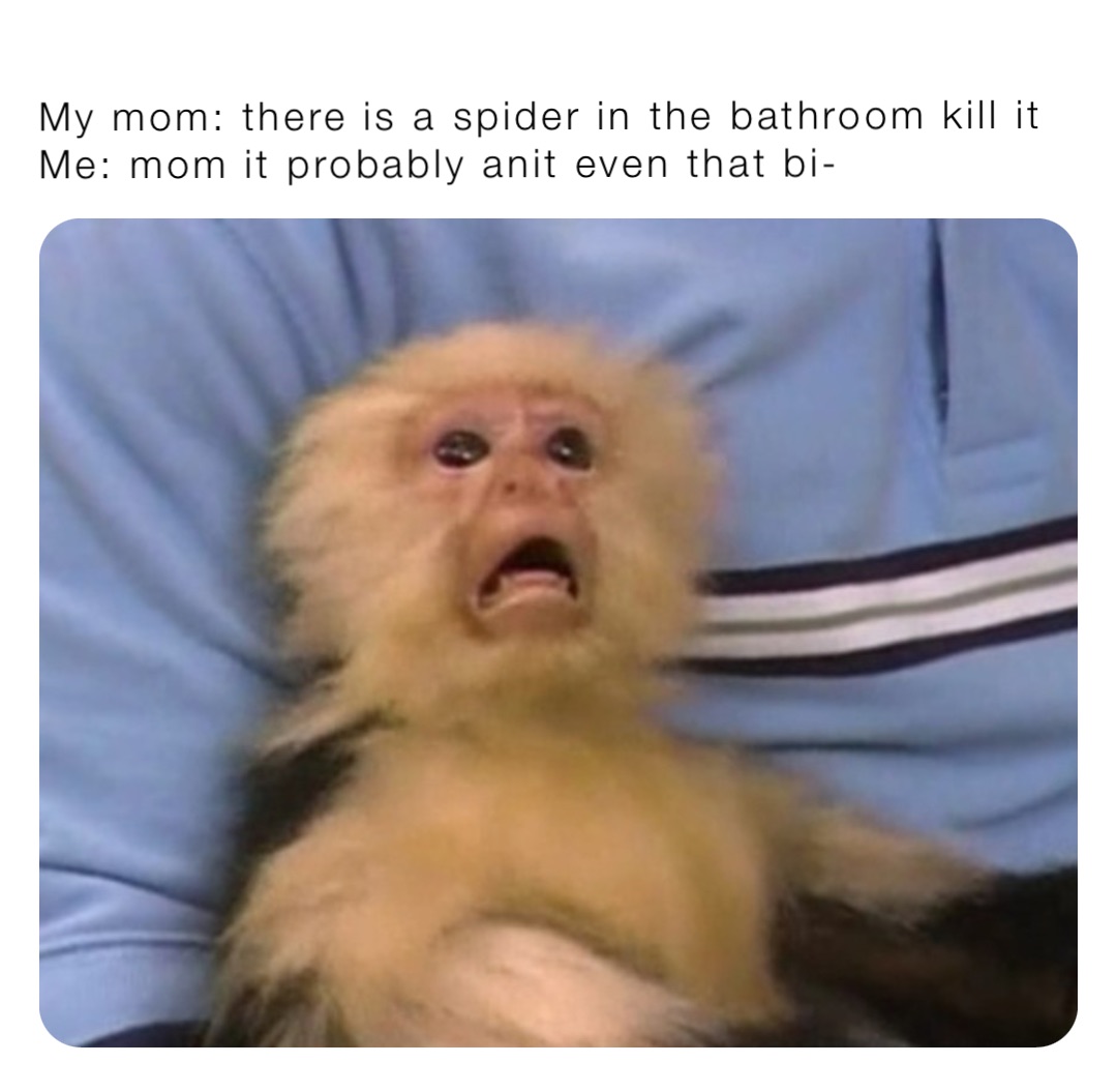 My Mom There Is A Spider In The Bathroom Kill It Me Mom It Probably