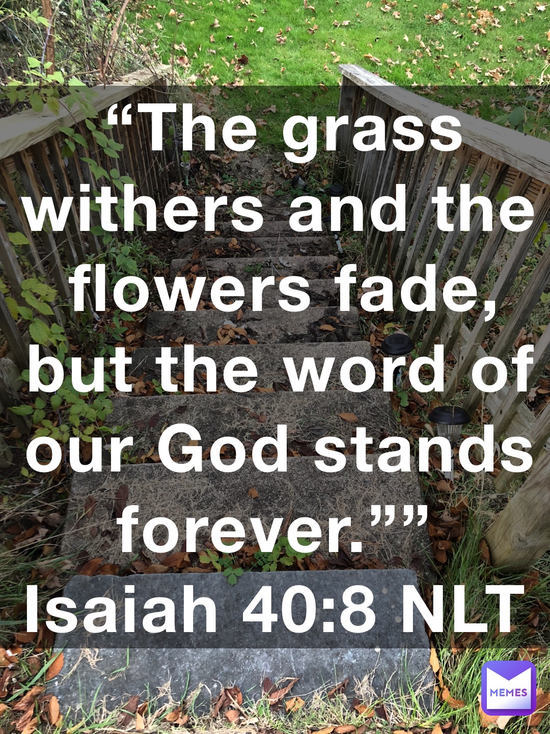 The Grass Withers And The Flowers Fade But The Word Of Our God Stands