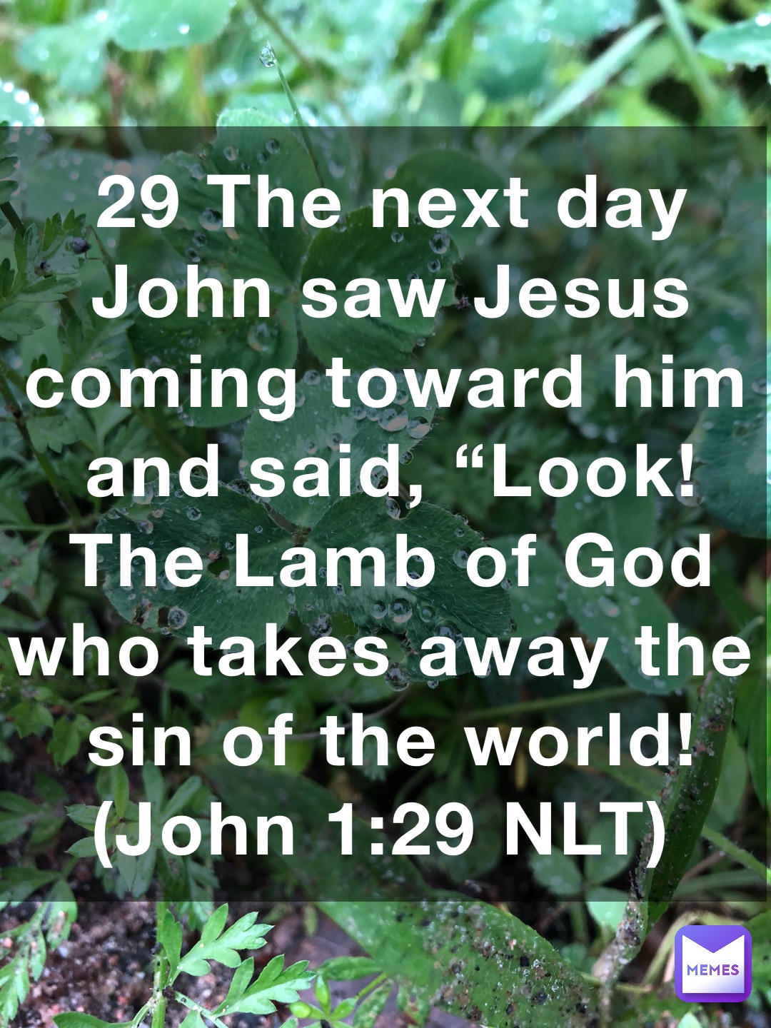 29 The Next Day John Saw Jesus Coming Toward Him And Said Look The