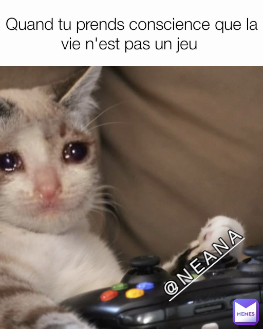 NEANA Quand Tu Prends Conscience Que La Vie N Est Pas Un Jeu Neana