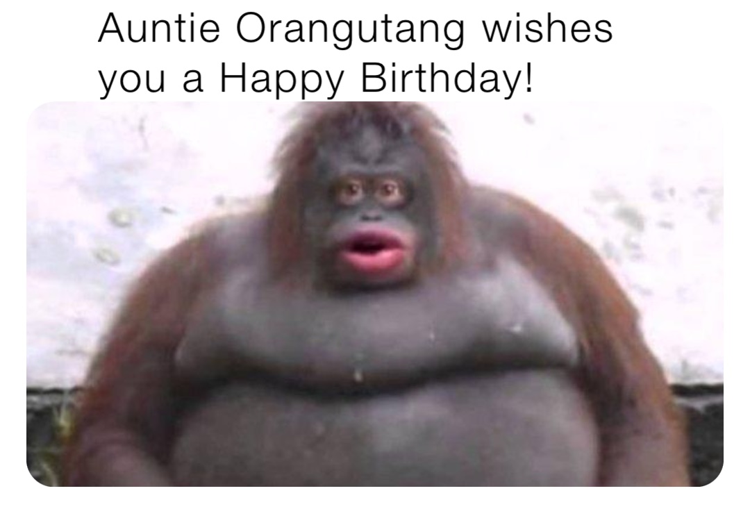 Auntie Orangutang Wishes You A Happy Birthday Kaanbux Memes