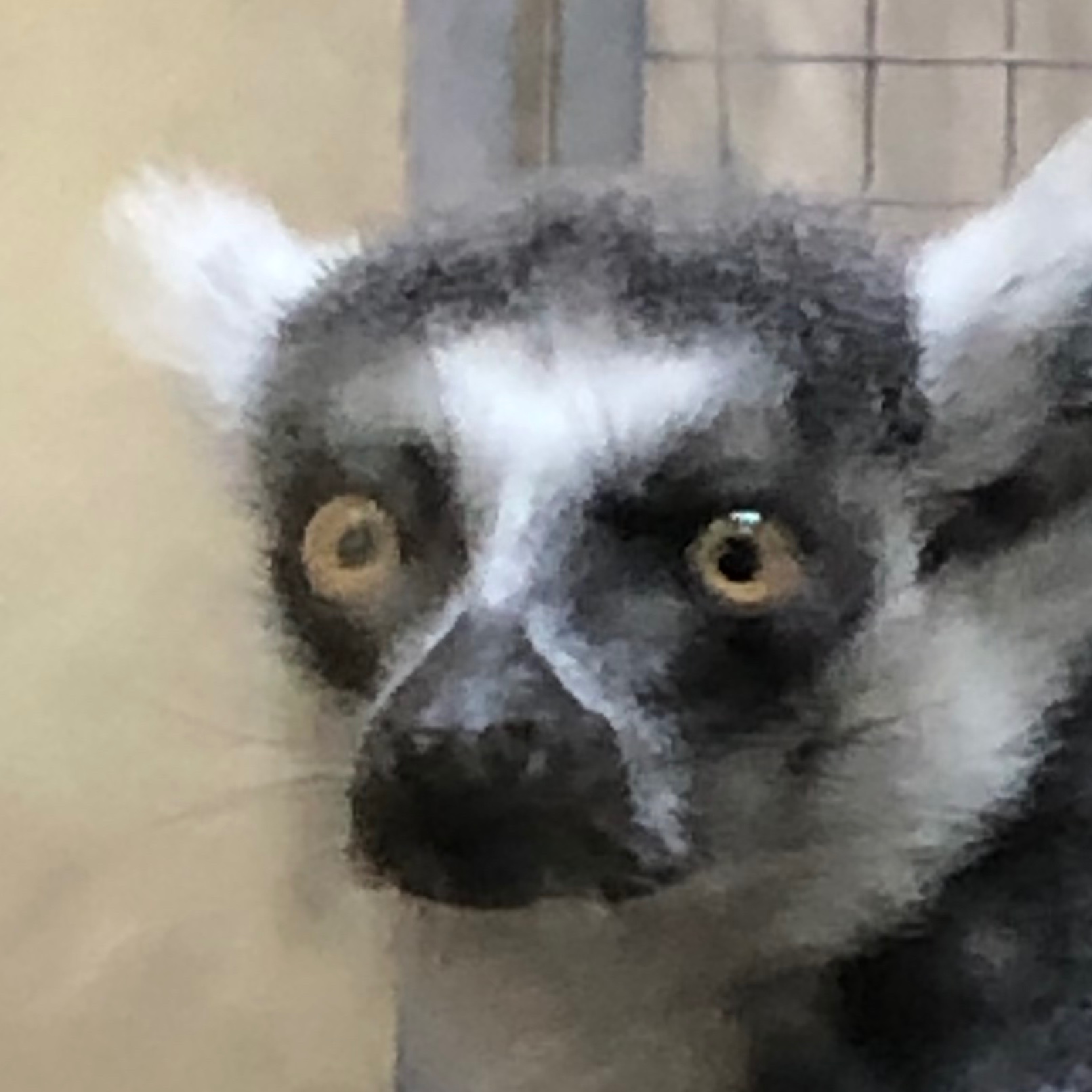 Cheeseybreadmemez0193 avatar