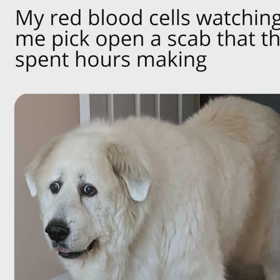 XXyoungsimpXXL avatar