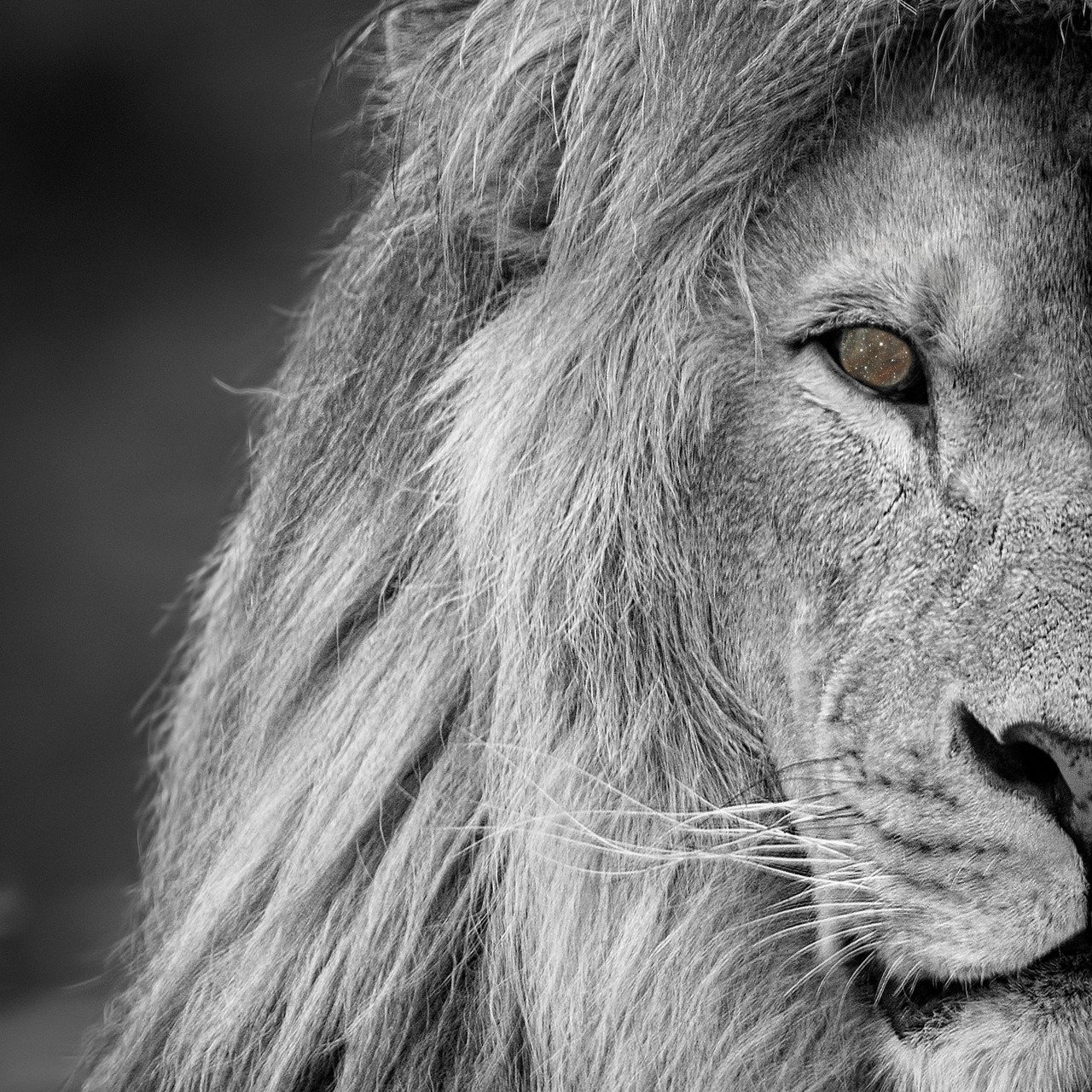 Corded_Gaming avatar