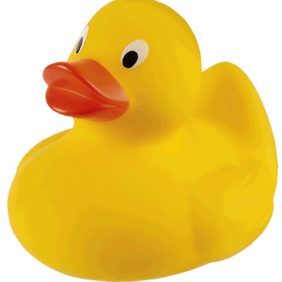 RubberDuckyInc