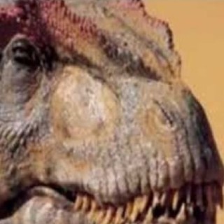 DINOGORAWR avatar
