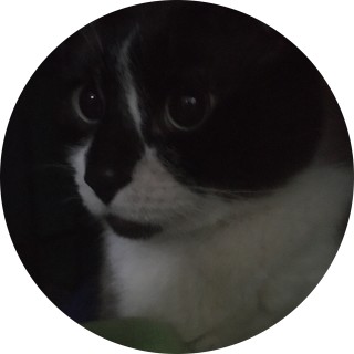 tyty_the_creator avatar