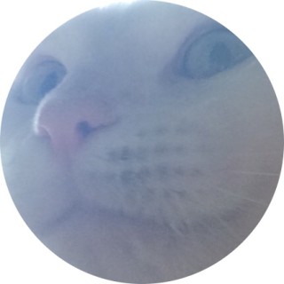 caity_cat avatar