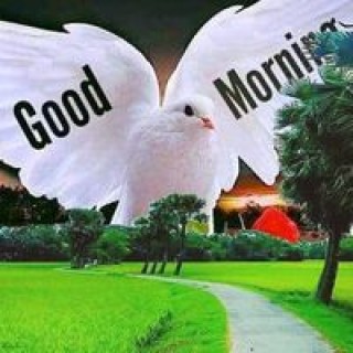 attiogbekwabla avatar