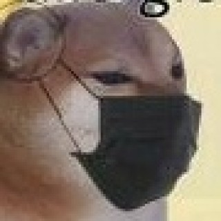 eatdatp0ssy445son avatar