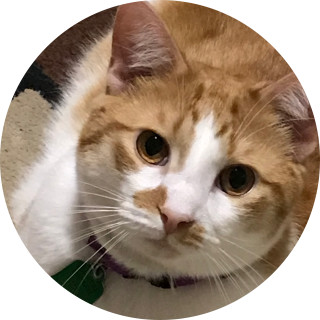 daughter_of_eve avatar