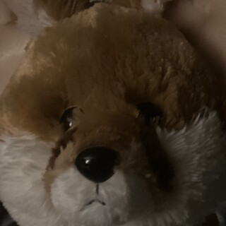 playerxeso119 avatar