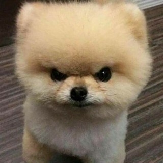 TheEroticCresent avatar