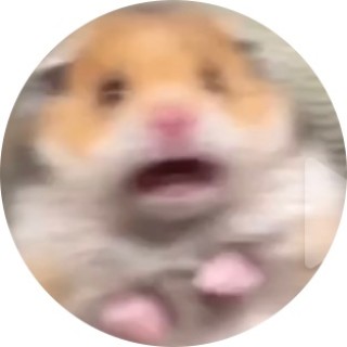 scared_hamster17 avatar