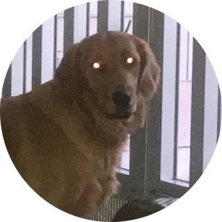 _nora_is_a_clown_ avatar