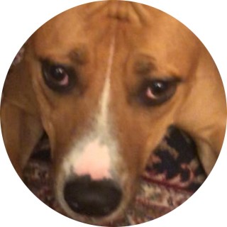 Bedtime_Storie24 avatar