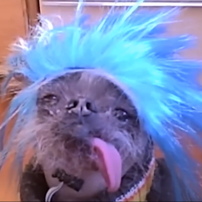 Radhfjvgjvhvfbjv avatar