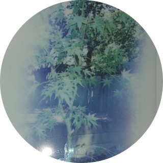 just_me_lilulu avatar