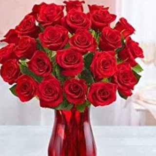 talhaahmad012 avatar