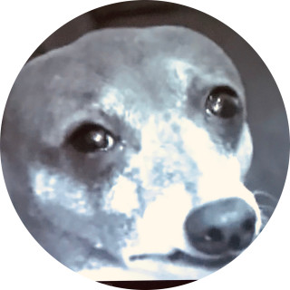 breadlikegarlic avatar