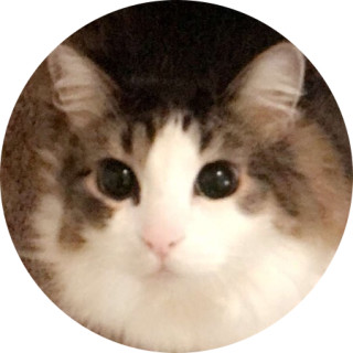 smokey_fatcat avatar