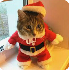 memeinggrinch