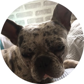 LxckyFootball avatar