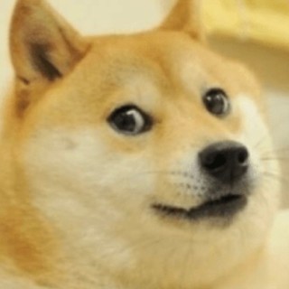 A_normal_DOGO avatar