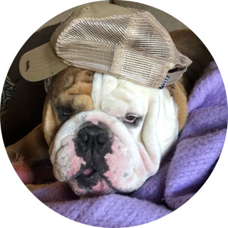 Pupper_Plays_YT avatar