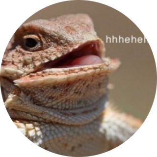 weird_memes3234 avatar