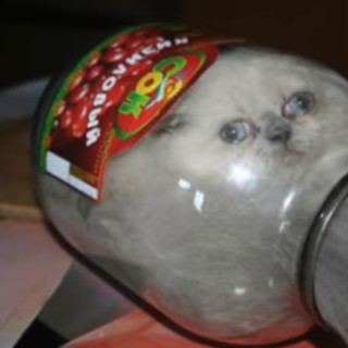 FlyingSandwichLOL avatar