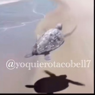 Lacatrina2012 avatar