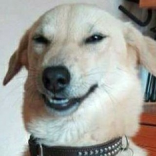 rebecsalcedo123 avatar