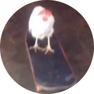 mother_fucker avatar