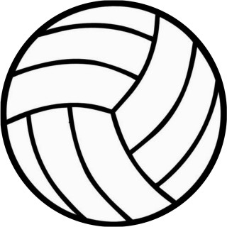volleyball_posts1 avatar
