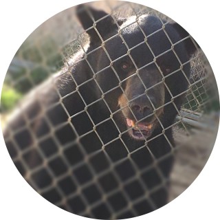 meme_queen228224 avatar