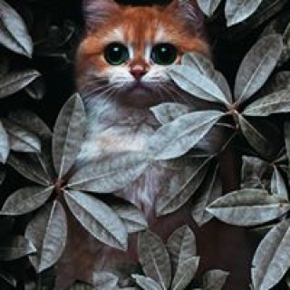 azim1597578788 avatar