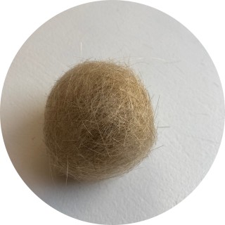 the_hairball avatar