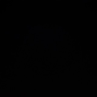 A_Rat_From_America avatar