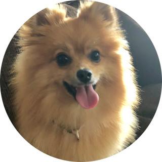 some_cool_memes avatar