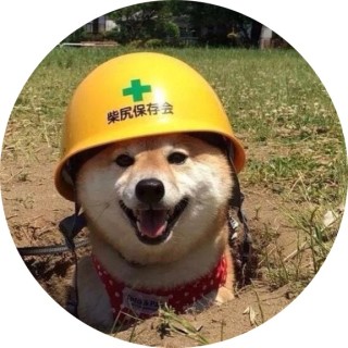 safteydoggo avatar