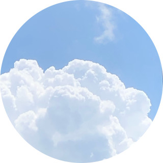 the_team_toxic_guy avatar