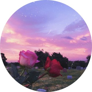 Maddabout_Jai avatar