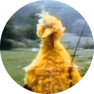 big_bird_bitch avatar