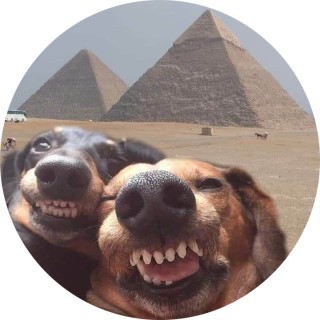 shrekcouldnever avatar