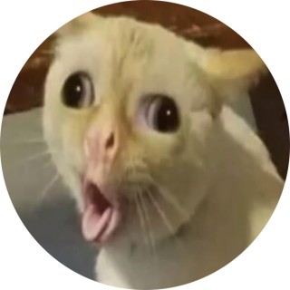 the_cat_lover12345 avatar