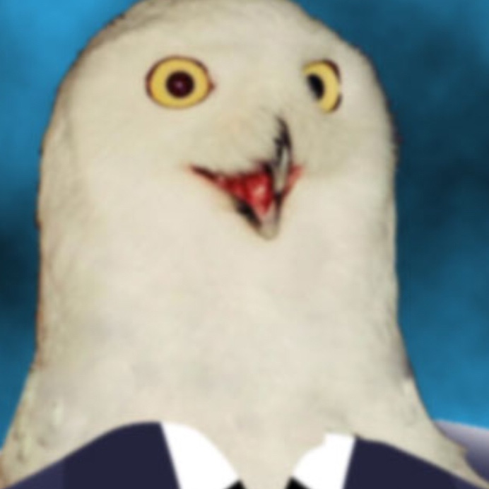 MemeReaderOfTheDecade avatar