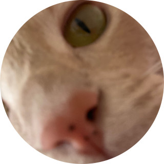 gacha_kitty200 avatar