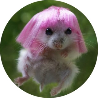 cuteasdannydevito avatar