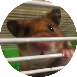 gaviaigl23002 avatar